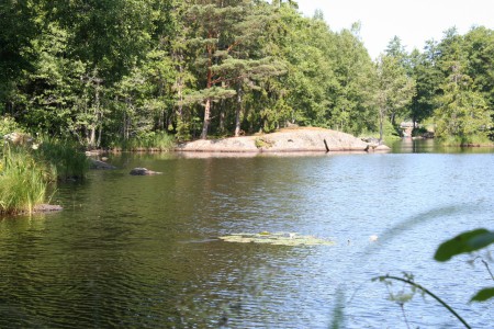 De zelfde plas met waterlelie
